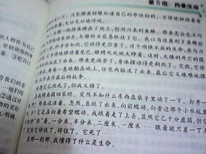 400字關(guān)于生命的作文開(kāi)頭結尾
