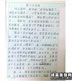 回憶春節作文的開(kāi)頭和結尾怎么寫(xiě)