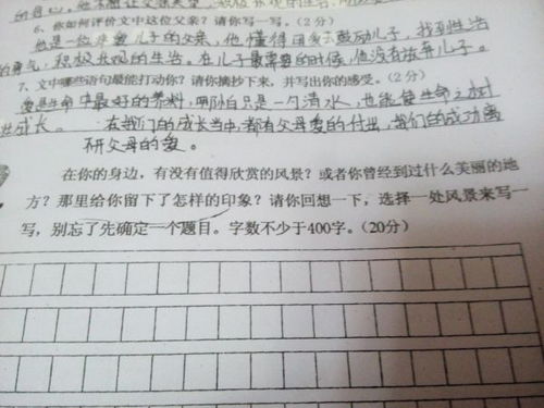 寫(xiě)景作文關(guān)于冬開(kāi)頭怎么寫(xiě)