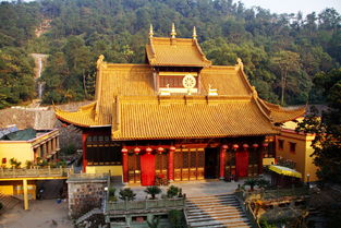 夢(mèng)見(jiàn)寺廟(夢(mèng)見(jiàn)寺廟進(jìn)水)