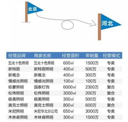 品牌市場(chǎng)調研報告(品牌市場(chǎng)調研報告)