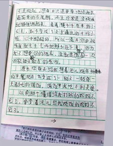 愛(ài)勞動(dòng)的媽媽作文開(kāi)頭
