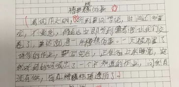 聽見作文的優(yōu)秀開頭