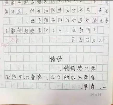 作文,開(kāi)頭