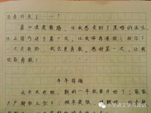 難忘同學(xué)友誼深的作文開頭