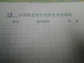 放風箏勵志開頭作文500字