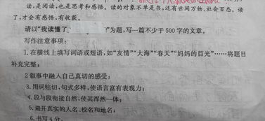 那一刻我讀懂了你的作文開(kāi)頭