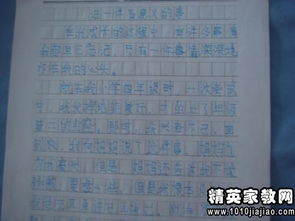 作文開(kāi)頭起到了什么作用