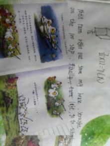 描寫(xiě)校園是自己的家的作文開(kāi)頭結尾怎么寫(xiě)
