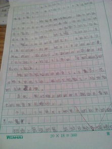 小學(xué)六級(jí)寫(xiě)難忘的人作文500字作文開(kāi)頭
