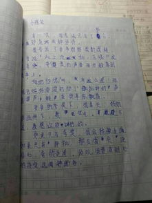 小學生寫父母愛的作文開頭和結尾