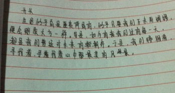 人什么是最美作文600字作文開(kāi)頭