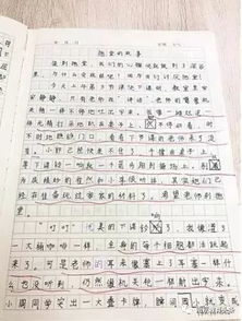 開(kāi)門(mén)見(jiàn)山作文開(kāi)頭例子