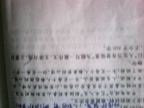 榮辱800字作文開頭