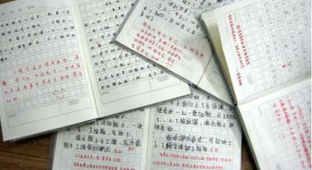 關(guān)于主角的作文開(kāi)頭,關(guān)于主角與配角的作文開(kāi)頭,做自己的主角作文開(kāi)頭