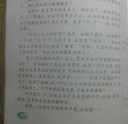 鄰里間真情的作文開(kāi)頭