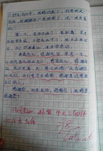 有關(guān)崇敬作文好的開(kāi)頭
