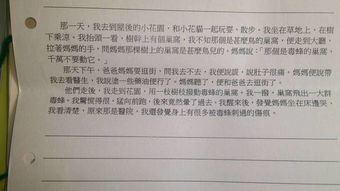 那一次我笑了作文開(kāi)頭和結尾