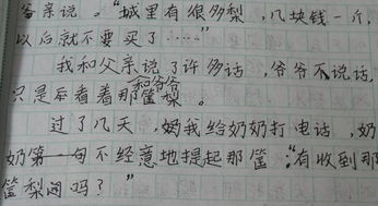 寫(xiě)親人的初中作文(寫(xiě)親人的作文初中)