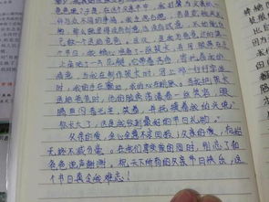 讓人驚艷的作文開(kāi)頭關(guān)于父親