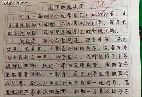 作文開(kāi)頭簡(jiǎn)潔而有文采