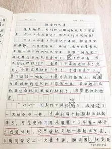 寫同學和朋友的作文600字作文開頭