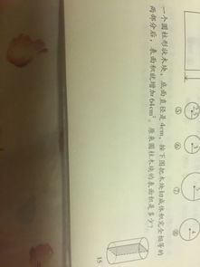 關(guān)于寫(xiě)難忘的第一次作文600字作文開(kāi)頭