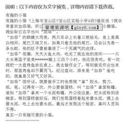 關(guān)于中考貓作文開(kāi)頭