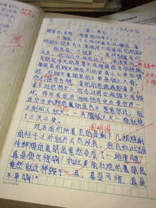 看花真開(kāi)心這篇作文的開(kāi)頭和結尾