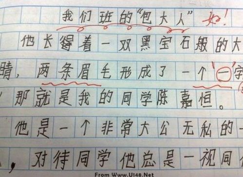 特別的東西作文開(kāi)頭