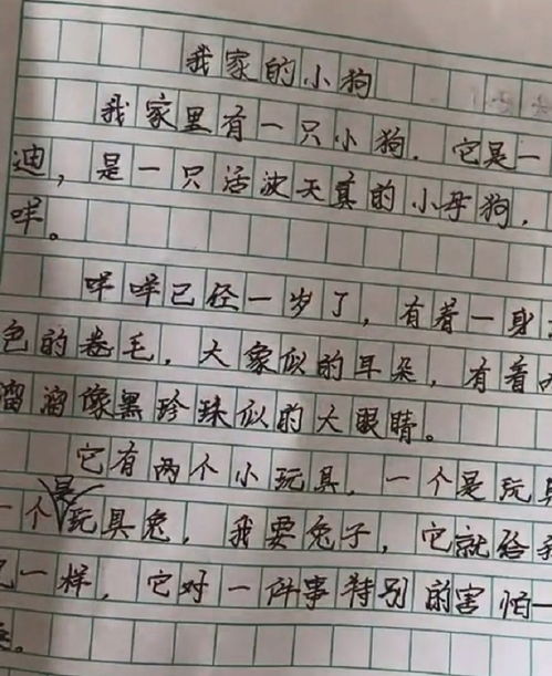 小學(xué)作文怎么寫(xiě)開(kāi)頭結尾