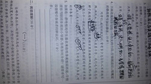 一個(gè)我不能忘記的人作文開(kāi)頭