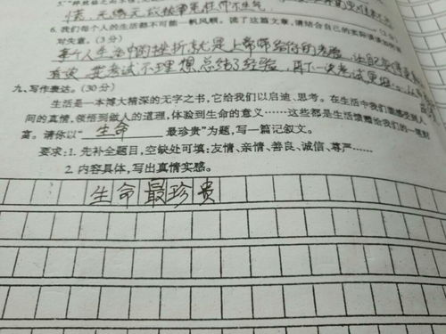 作文感動(dòng)生命開(kāi)頭排比