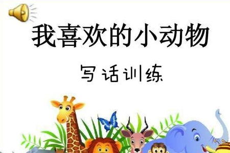 教師小動(dòng)物作文的開頭
