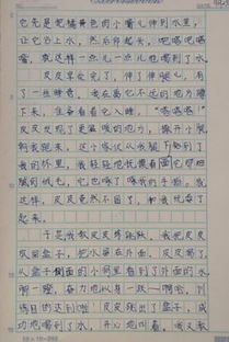 關(guān)于善待動(dòng)物的作文開(kāi)頭