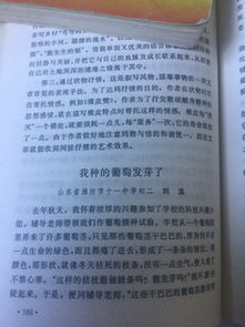 那次我選擇了堅持1000字作文開(kāi)頭