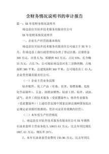 經營情況審計報告范文(公司審計報告范文)