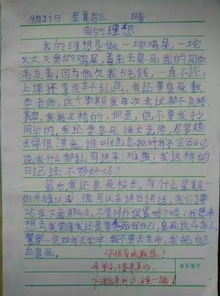 談自己的理想的作文1000字作文開(kāi)頭