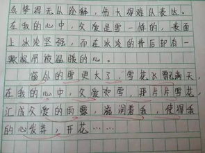 100次以上作文開(kāi)頭結尾
