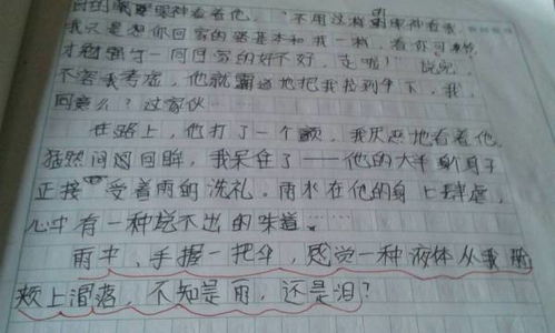 那一刻我真的好開(kāi)心作文開(kāi)頭