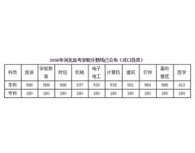 通用四級作文開(kāi)頭