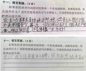 小學(xué)關(guān)于二胎作文開(kāi)頭