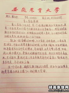 社區服務(wù)活動(dòng)報告范文(大學(xué)生社區服務(wù)活動(dòng)的社會(huì )實(shí)踐報告)