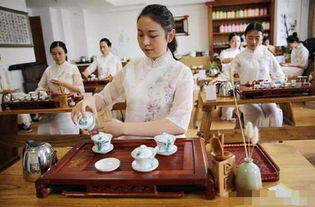 茶學(xué)專業(yè)本科自考