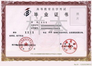 廣西大學(xué)可以自考本科嗎