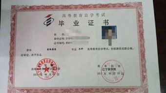 自考本科可以報護師嗎