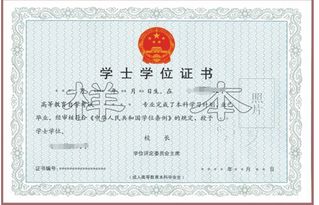 自考本科課程哪里可以學(xué)習