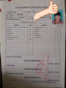 自考本科和檔
