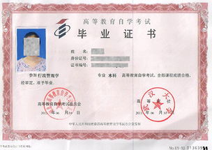 自考本科后第一學(xué)歷是本科嗎