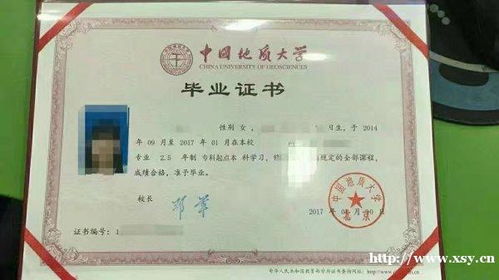 報大專(zhuān)自考同時(shí)報本科自考嗎